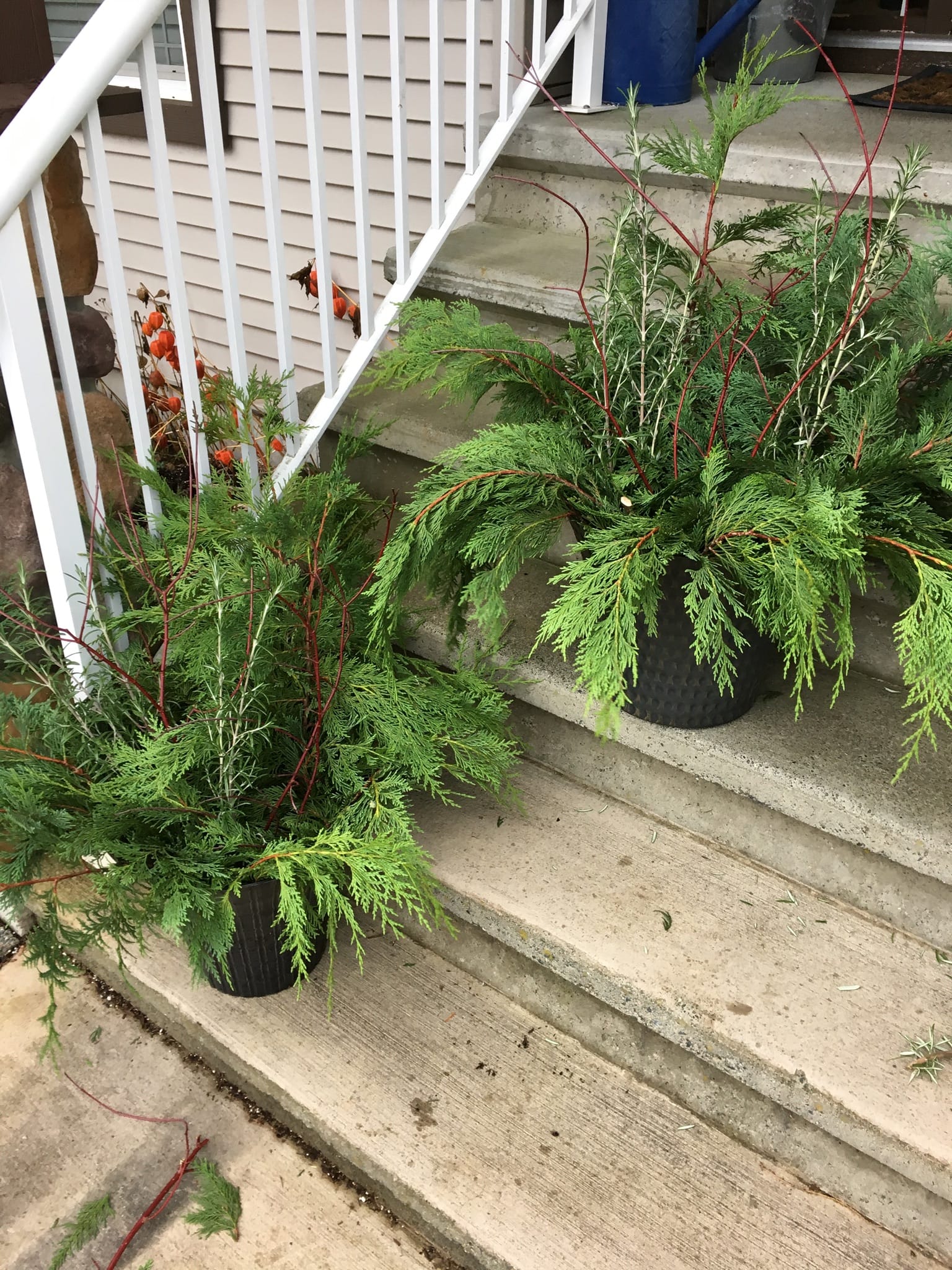 Christmas Greenery