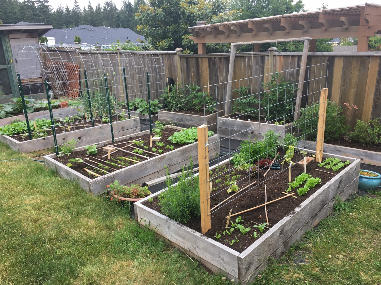 My Garden and Heart