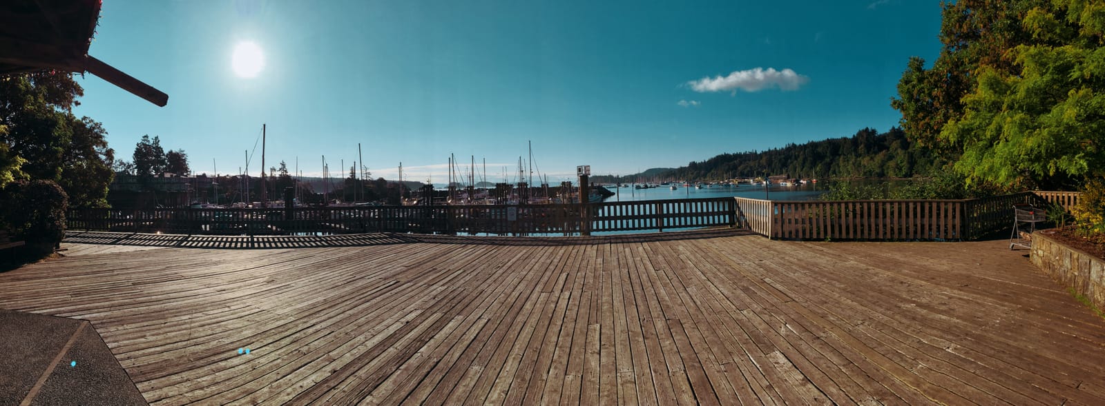 Salt Spring and Me