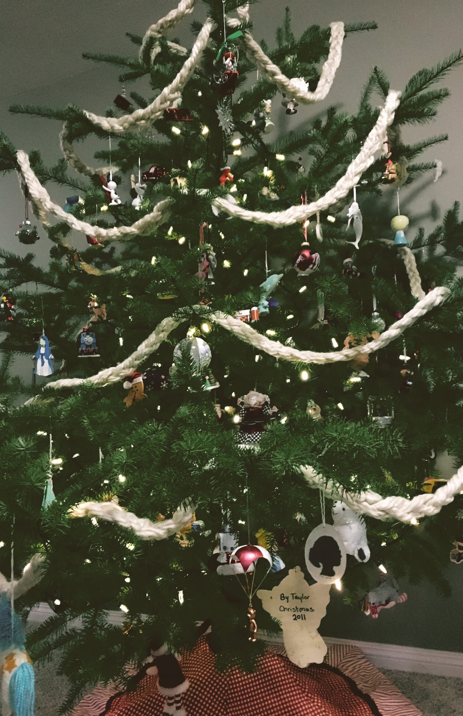 Our Tree Experience